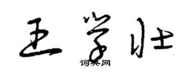 曾慶福王學壯草書個性簽名怎么寫