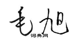 駱恆光毛旭草書個性簽名怎么寫