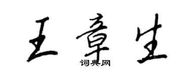 王正良王章生行書個性簽名怎么寫