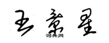 朱錫榮王景星草書個性簽名怎么寫