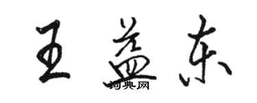 駱恆光王益東行書個性簽名怎么寫