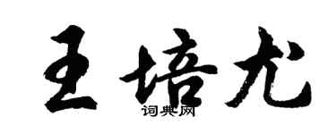 胡問遂王培尤行書個性簽名怎么寫