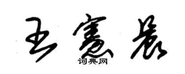 朱錫榮王憲晨草書個性簽名怎么寫