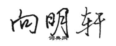 駱恆光向明軒行書個性簽名怎么寫