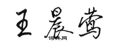 駱恆光王晨鶯行書個性簽名怎么寫