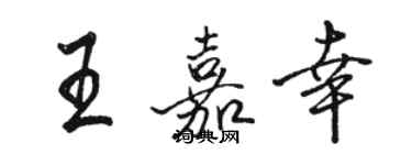 駱恆光王嘉幸行書個性簽名怎么寫