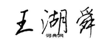 王正良王湖舜行書個性簽名怎么寫
