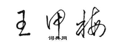 駱恆光王甲梅草書個性簽名怎么寫