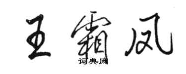 駱恆光王霜鳳行書個性簽名怎么寫