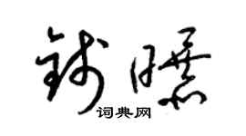 梁錦英錢曝草書個性簽名怎么寫