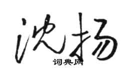 駱恆光沈揚草書個性簽名怎么寫