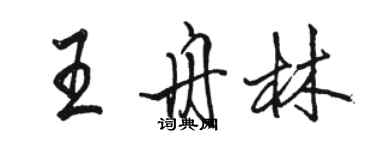 駱恆光王舟林行書個性簽名怎么寫