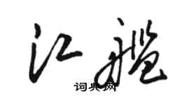 駱恆光江艦草書個性簽名怎么寫