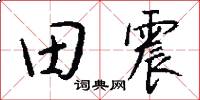 田震怎么寫好看