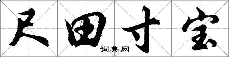 胡問遂尺田寸寶行書怎么寫