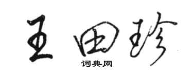 駱恆光王田珍行書個性簽名怎么寫