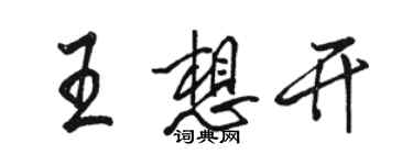 駱恆光王想開行書個性簽名怎么寫