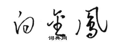 駱恆光白金鳳草書個性簽名怎么寫