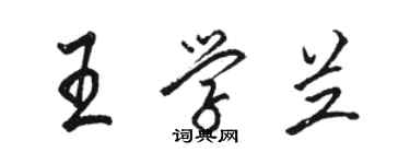 駱恆光王學蘭行書個性簽名怎么寫