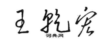 駱恆光王乾宏草書個性簽名怎么寫