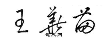 駱恆光王華苗草書個性簽名怎么寫