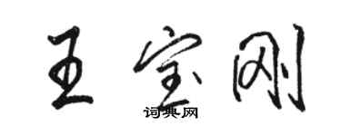 駱恆光王寶剛行書個性簽名怎么寫