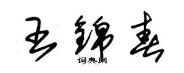 朱錫榮王錦春草書個性簽名怎么寫