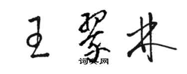 駱恆光王翠林草書個性簽名怎么寫