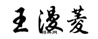 胡問遂王漫菱行書個性簽名怎么寫