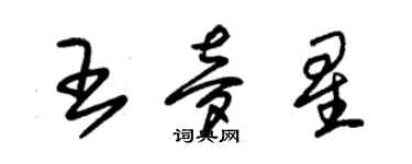 朱錫榮王夢星草書個性簽名怎么寫