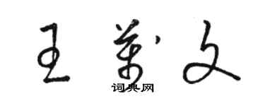 駱恆光王萬文草書個性簽名怎么寫