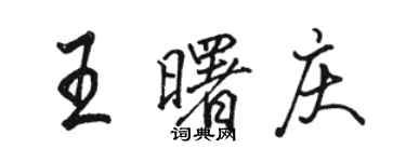 駱恆光王曙慶行書個性簽名怎么寫