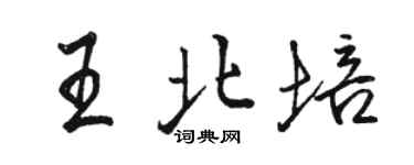 駱恆光王北培行書個性簽名怎么寫