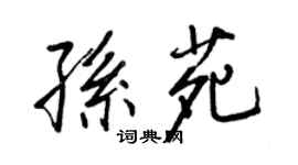 王正良孫苑行書個性簽名怎么寫