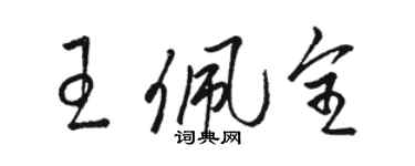 駱恆光王佩全草書個性簽名怎么寫