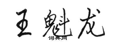 駱恆光王魁龍行書個性簽名怎么寫