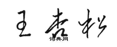 駱恆光王杏松草書個性簽名怎么寫