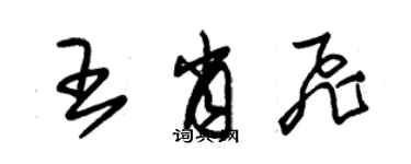 朱錫榮王肖飛草書個性簽名怎么寫