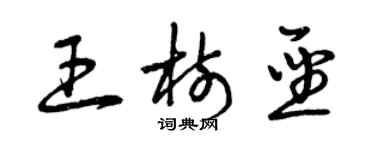 曾慶福王樹聖草書個性簽名怎么寫