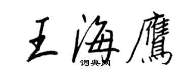 王正良王海鷹行書個性簽名怎么寫