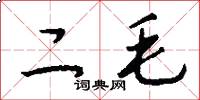 二毛怎么寫好看