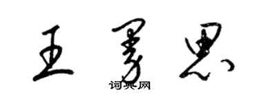 梁錦英王曼思草書個性簽名怎么寫