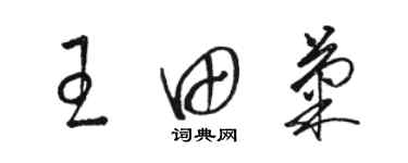 駱恆光王田菊草書個性簽名怎么寫