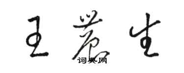 駱恆光王農生草書個性簽名怎么寫