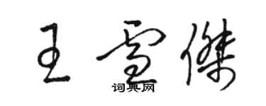 駱恆光王雪傑草書個性簽名怎么寫