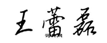 王正良王蕾磊行書個性簽名怎么寫