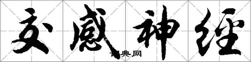 胡問遂交感神經行書怎么寫