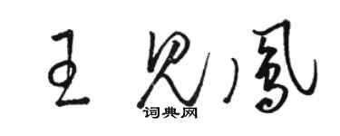 駱恆光王見鳳草書個性簽名怎么寫