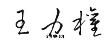 駱恆光王力權草書個性簽名怎么寫