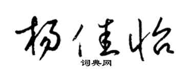 梁錦英楊佳怡草書個性簽名怎么寫
